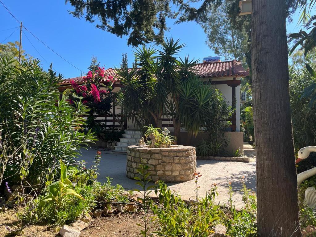 Gialova Garden Bungalow エクステリア 写真